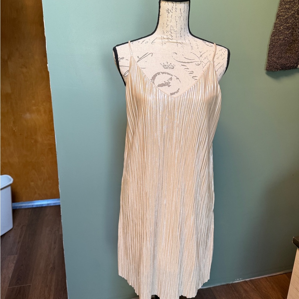 Shimmery Beige Slip Dress